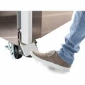 Hoshizaki America Foot Pedal for Right-Hinged Door HS-5379